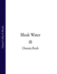 Bleak Water, Danuta  Reah аудиокнига. ISDN39779237