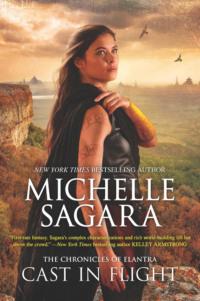 Cast In Flight, Michelle  Sagara аудиокнига. ISDN39779805