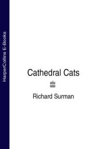 Cathedral Cats, Richard  Surman audiobook. ISDN39779821