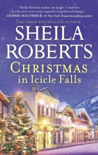 Christmas In Icicle Falls - Sheila Roberts
