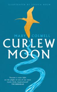Curlew Moon, Mary  Colwell książka audio. ISDN39781045