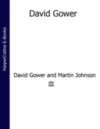 David Gower (Text Only), David  Gower audiobook. ISDN39781269