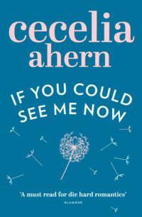 If You Could See Me Now, Cecelia  Ahern audiobook. ISDN39782537