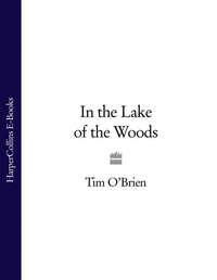 In the Lake of the Woods - Tim O’Brien