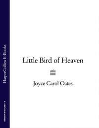 Little Bird of Heaven,  аудиокнига. ISDN39784265