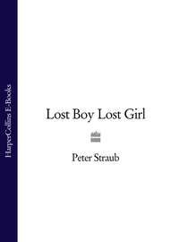 Lost Boy Lost Girl, Peter  Straub audiobook. ISDN39785633