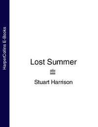 Lost Summer, Stuart  Harrison аудиокнига. ISDN39787409