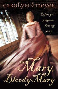 Mary, Bloody Mary, Carolyn  Meyer audiobook. ISDN39787569