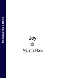 Joy, Marsha  Hunt audiobook. ISDN39788585