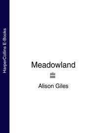 Meadowland, Alison  Giles аудиокнига. ISDN39788865