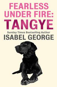 Fearless Under Fire: Tangye, Isabel  George książka audio. ISDN39789161