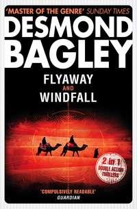 Flyaway / Windfall - Desmond Bagley