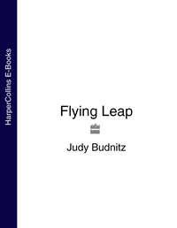 Flying Leap - Judy Budnitz