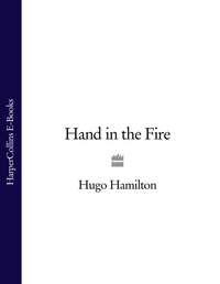 Hand in the Fire, Hugo  Hamilton аудиокнига. ISDN39790137