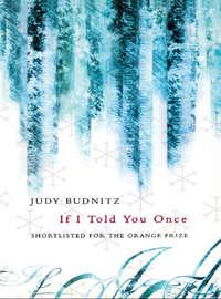 If I Told You Once - Judy Budnitz