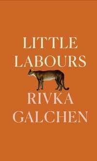 Little Labours, Rivka Galchen audiobook. ISDN39791953