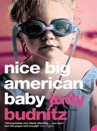 Nice Big American Baby, Judy  Budnitz audiobook. ISDN39793433