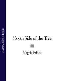 North Side of the Tree,  audiobook. ISDN39793561