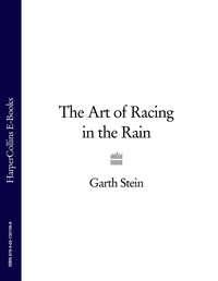 The Art of Racing in the Rain, Garth  Stein audiobook. ISDN39794601