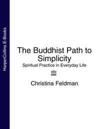 The Buddhist Path to Simplicity: Spiritual Practice in Everyday Life - Christina Feldman