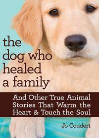 The Dog Who Healed A Family, Jo  Coudert książka audio. ISDN39796993