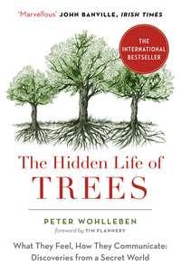 The Hidden Life of Trees: The International Bestseller – What They Feel, How They Communicate - Peter Wohlleben