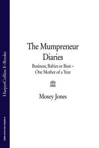 The Mumpreneur Diaries: Business, Babies or Bust - One Mother of a Year - Mosey Jones
