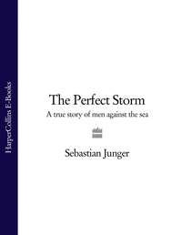 The Perfect Storm: A True Story of Men Against the Sea, Sebastian  Junger audiobook. ISDN39799601