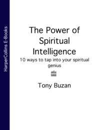 The Power of Spiritual Intelligence: 10 ways to tap into your spiritual genius - Тони Бьюзен