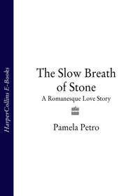The Slow Breath of Stone: A Romanesque Love Story, Pamela  Petro audiobook. ISDN39800673