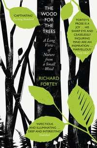 The Wood for the Trees: The Long View of Nature from a Small Wood, Richard  Fortey audiobook. ISDN39801681