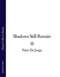 Shadows Still Remain - Peter Jonge