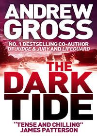 The Dark Tide, Andrew  Gross аудиокнига. ISDN39804737