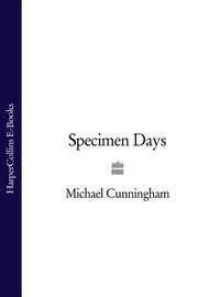 Specimen Days, Michael  Cunningham аудиокнига. ISDN39807305