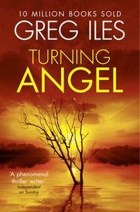 Turning Angel, Greg  Iles аудиокнига. ISDN39809041
