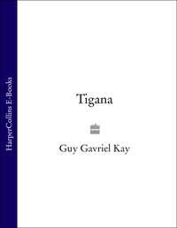 Tigana - Guy Gavriel Kay