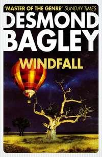 Windfall, Desmond  Bagley аудиокнига. ISDN39810721