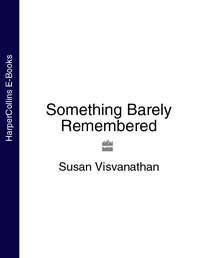 Something Barely Remembered - Susan Visvanathan