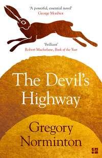 The Devil’s Highway - Gregory Norminton