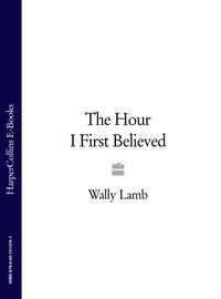 The Hour I First Believed, Wally  Lamb audiobook. ISDN39816625