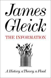 The Information: A History, a Theory, a Flood, James  Gleick audiobook. ISDN39816817