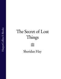 The Secret of Lost Things,  audiobook. ISDN39819689