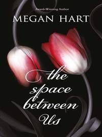 The Space Between Us, Megan Hart audiobook. ISDN39820057