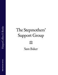 The Stepmothers’ Support Group, Sam  Baker аудиокнига. ISDN39820153