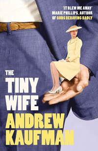 The Tiny Wife, Andrew  Kaufman аудиокнига. ISDN39820649