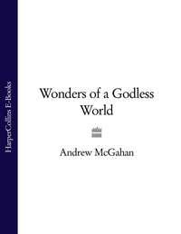 Wonders of a Godless World, Andrew  McGahan аудиокнига. ISDN39823457