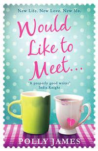 Would Like to Meet, Polly  James audiobook. ISDN39823529