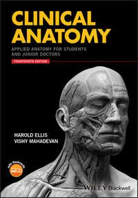 Clinical Anatomy. Applied Anatomy for Students and Junior Doctors, Harold  Ellis audiobook. ISDN39838560