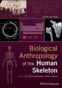 Biological Anthropology of the Human Skeleton,  аудиокнига. ISDN39838912