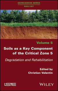 Soils as a Key Component of the Critical Zone 5. Degradation and Rehabilitation, Christian  Valentin książka audio. ISDN39839496